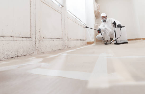 24/7 Emergency Commercial Mold Remediation experts in Mohrsville, PA